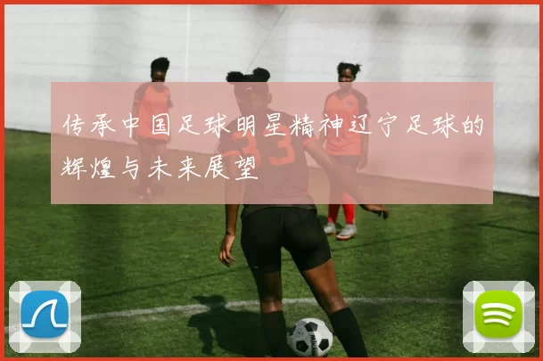 传承中国足球明星精神辽宁足球的辉煌与未来展望