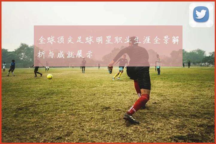 全球顶尖足球明星职业生涯全景解析与成就展示