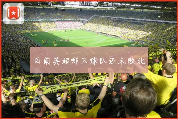 目前英超哪只球队还未败北