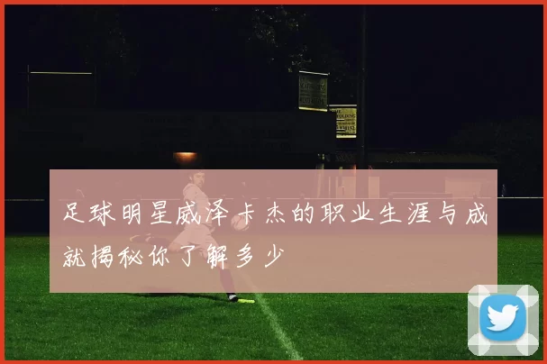足球明星威泽卡杰的职业生涯与成就揭秘你了解多少