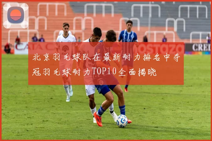 北京羽毛球队在最新耐力排名中夺冠羽毛球耐力TOP10全面揭晓