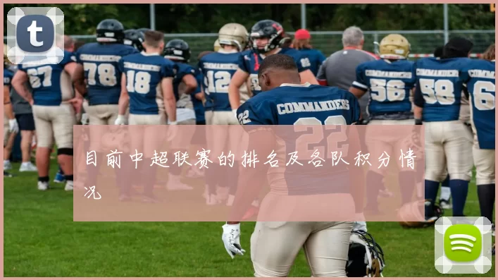 目前中超联赛的排名及各队积分情况