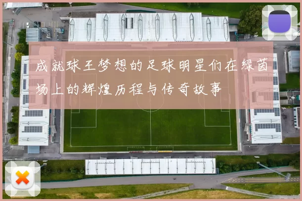 成就球王梦想的足球明星们在绿茵场上的辉煌历程与传奇故事