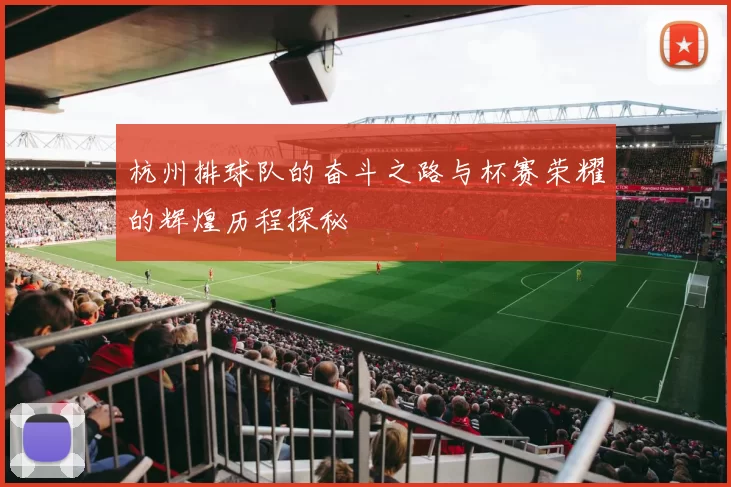 杭州排球队的奋斗之路与杯赛荣耀的辉煌历程探秘