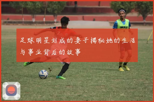 足球明星刘成的妻子揭秘她的生活与事业背后的故事
