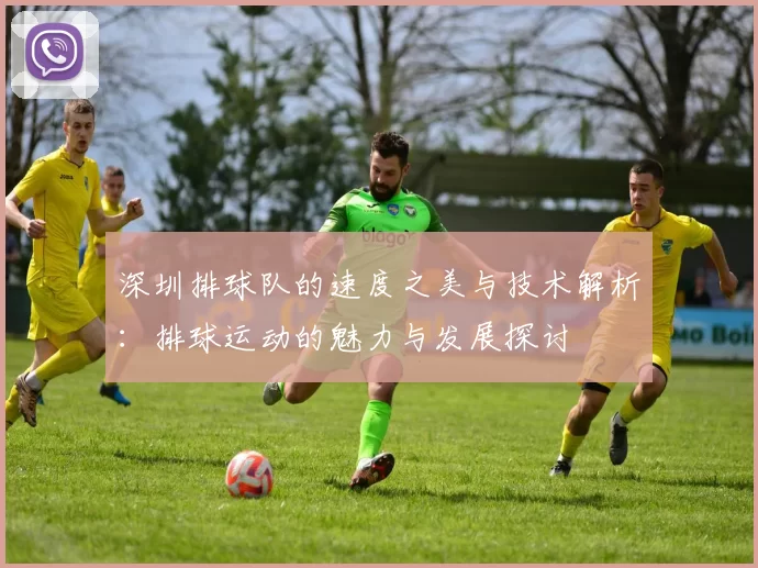 深圳排球队的速度之美与技术解析：排球运动的魅力与发展探讨