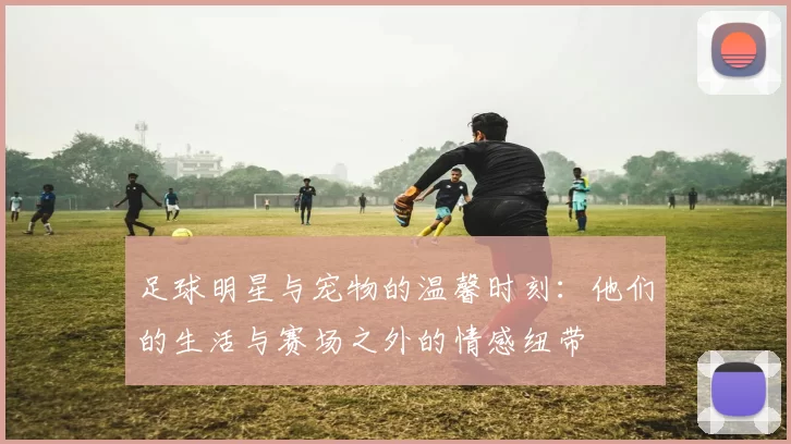 足球明星与宠物的温馨时刻：他们的生活与赛场之外的情感纽带