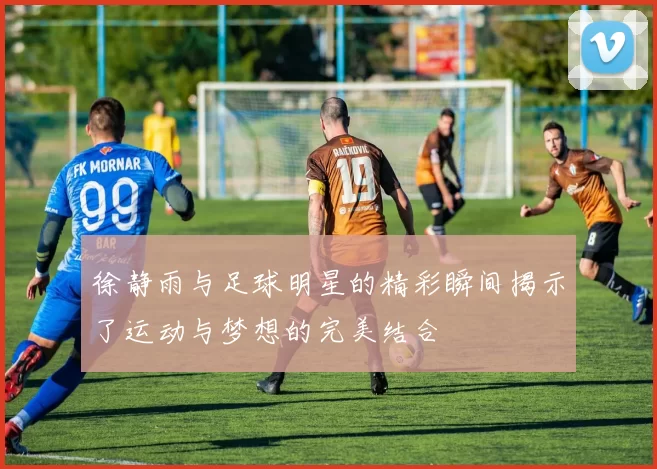 徐静雨与足球明星的精彩瞬间揭示了运动与梦想的完美结合