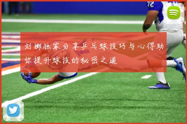 刘娜独家分享乒乓球技巧与心得助你提升球技的秘密之道