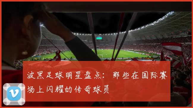 波黑足球明星盘点：那些在国际赛场上闪耀的传奇球员