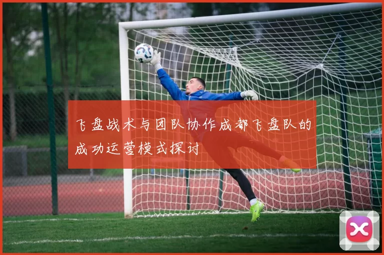 飞盘战术与团队协作成都飞盘队的成功运营模式探讨