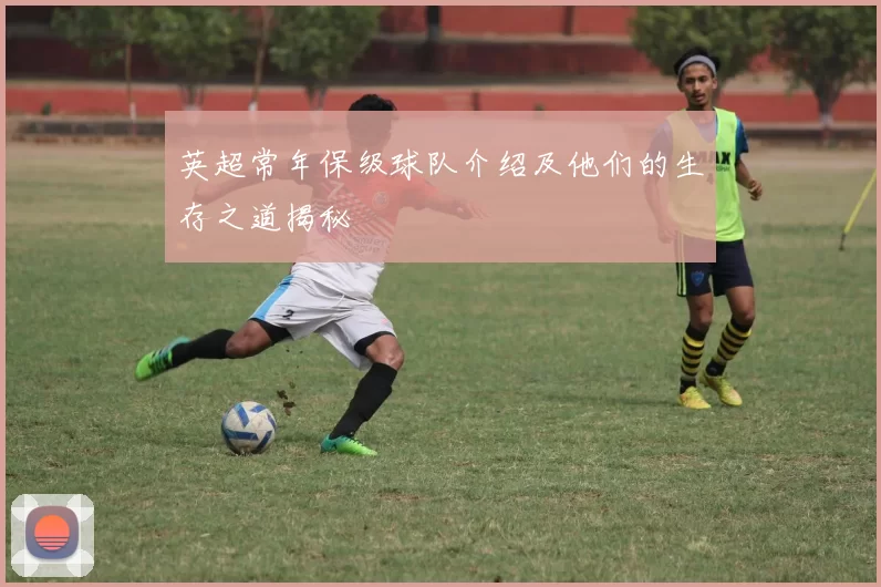 英超常年保级球队介绍及他们的生存之道揭秘
